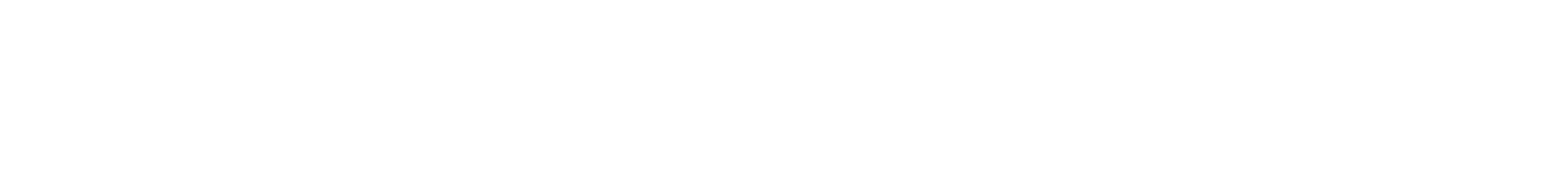 NevBorn – progressive metal Swiss band – logo letters